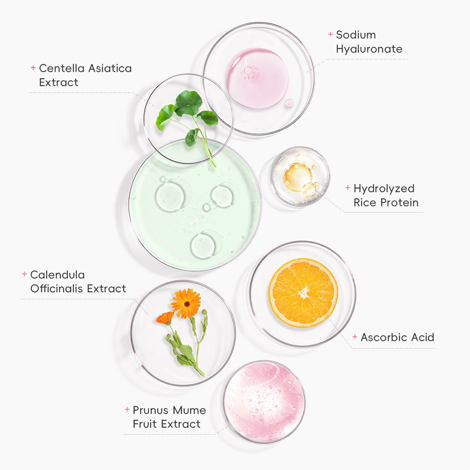 Protective Makeup Primer | Monika Beauty